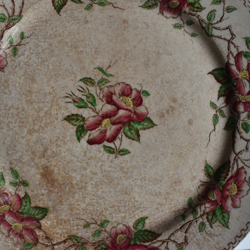Antique Dessert Plate U&C Sarreguemines Eglantier D