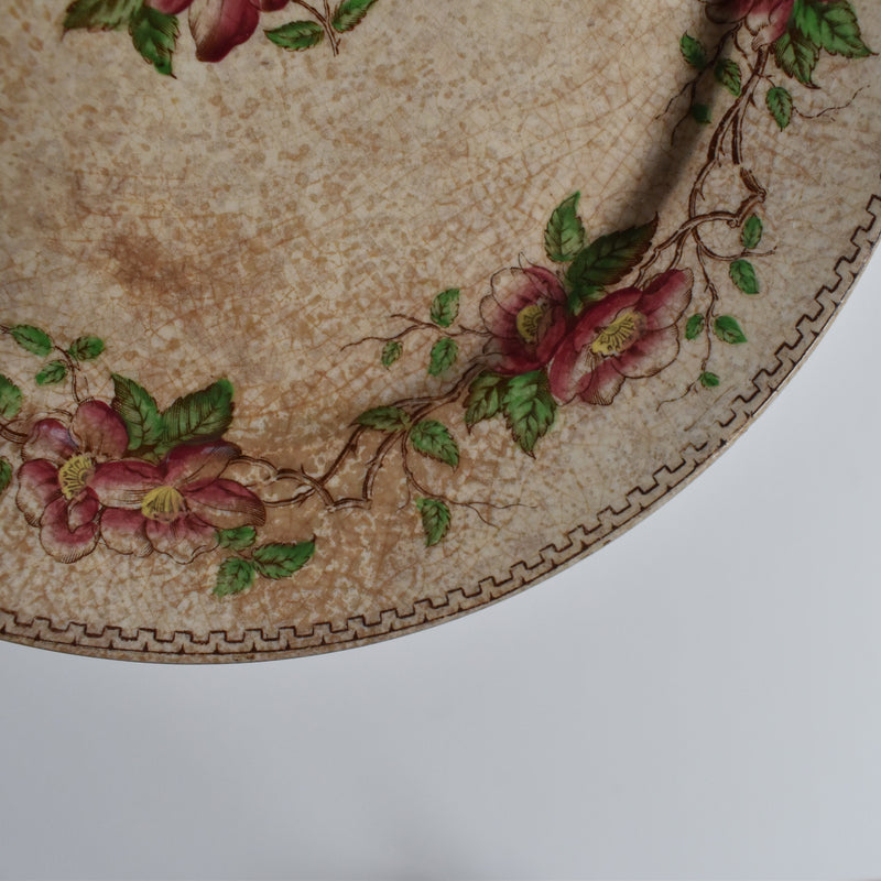 Antique Dessert Plate U&C Sarreguemines Eglantier D