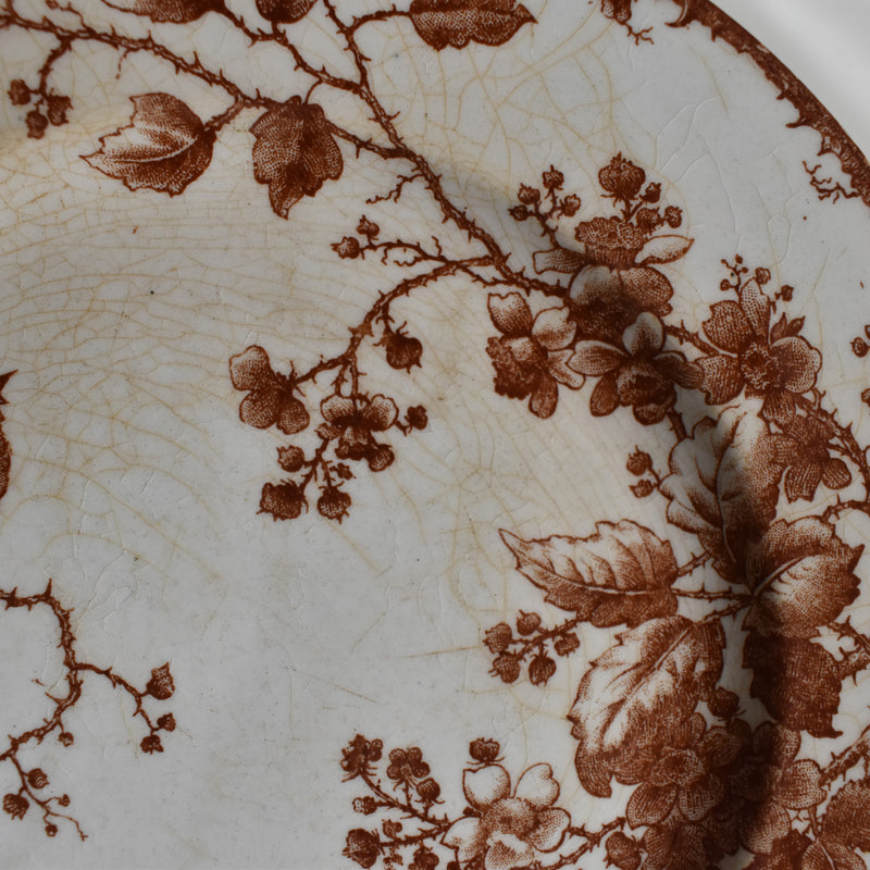 Antique Dessert Plate Gien Fauvette D