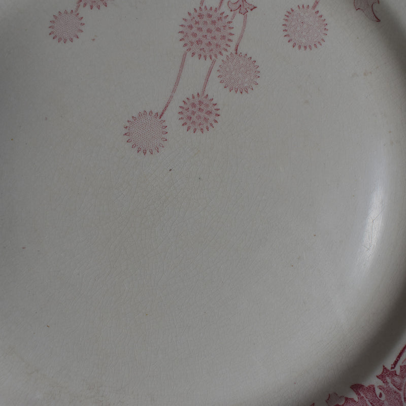 アンティークプレート K&Gリュネヴィル Platane Z4