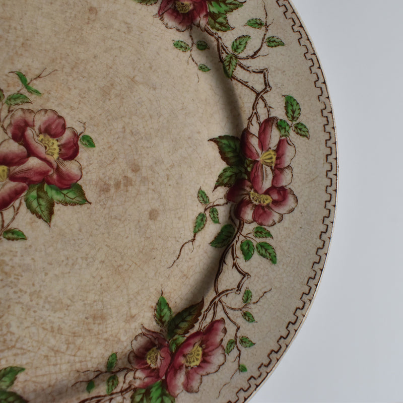 Antique Dessert Plate U&C Sarreguemines Eglantier D