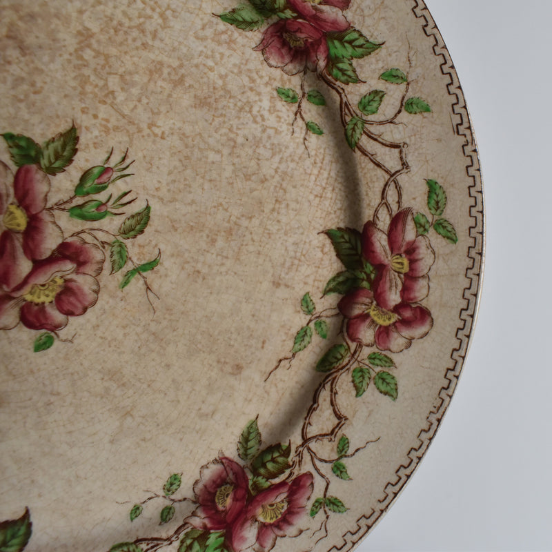 Antique Dessert Plate U&C Sarreguemines Eglantier D