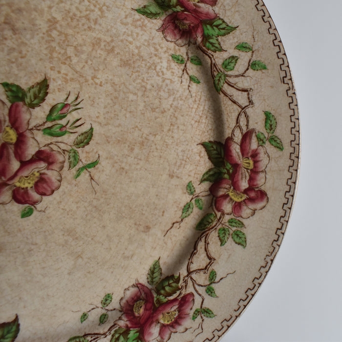 アンティークデザートプレート U&Cサルグミンヌ Eglantier D