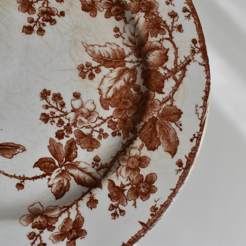 Antique Dessert Plate Gien Fauvette D