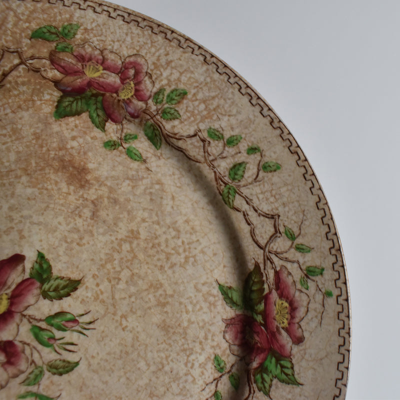 Antique Dessert Plate U&C Sarreguemines Eglantier D