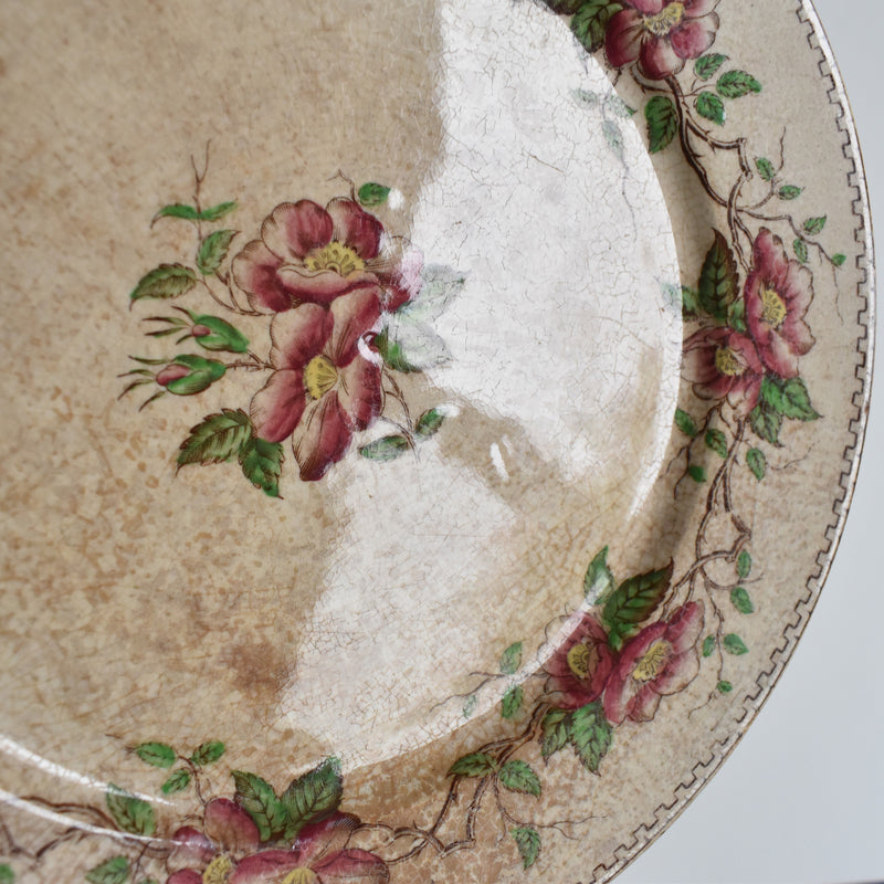 Antique Dessert Plate U&C Sarreguemines Eglantier D