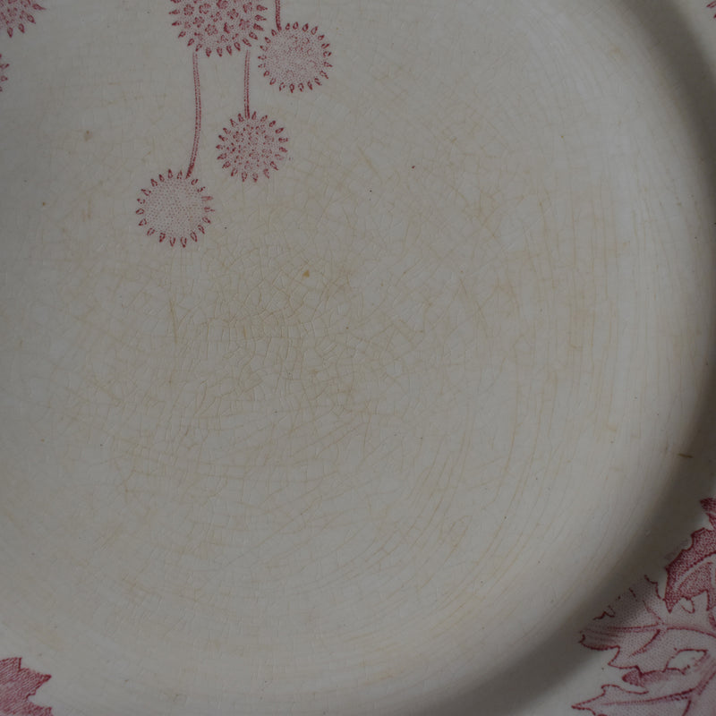 Antique Plate K&G Luneville Platane Z5