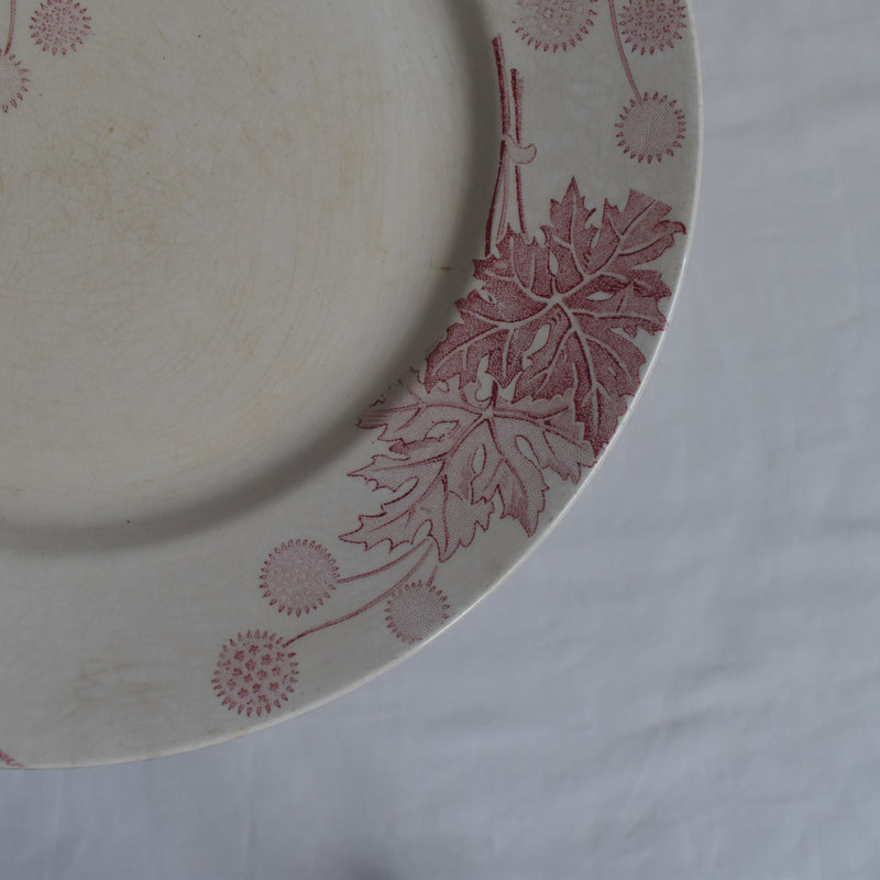 Antique Plate K&G Luneville Platane Z5