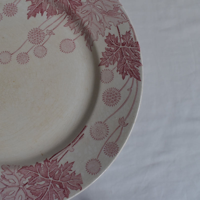 Antique Plate K&G Luneville Platane Z5