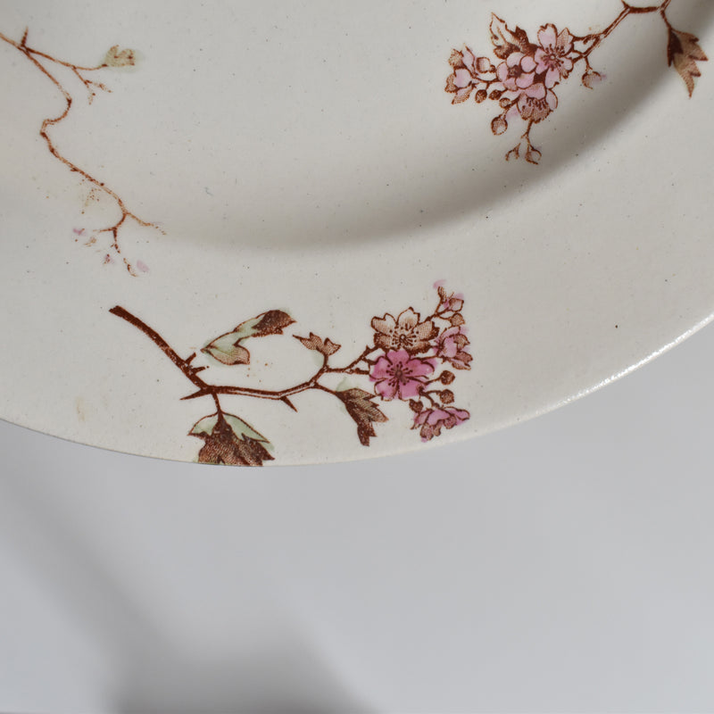 Antique Dessert Plate Lunéville Fauvette A