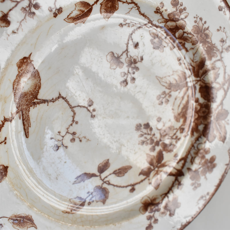 Antique Dessert Plate Gien Fauvette E