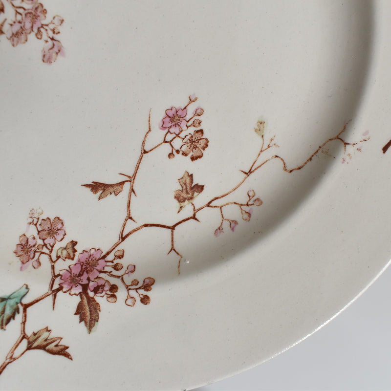 Antique Dessert Plate, Lunéville Fauvette B