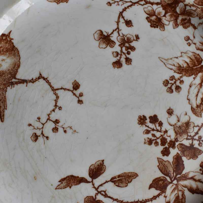 Antique Dessert Plate Gien Fauvette E