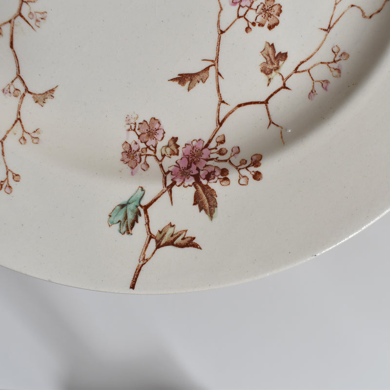 Antique Dessert Plate, Lunéville Fauvette B