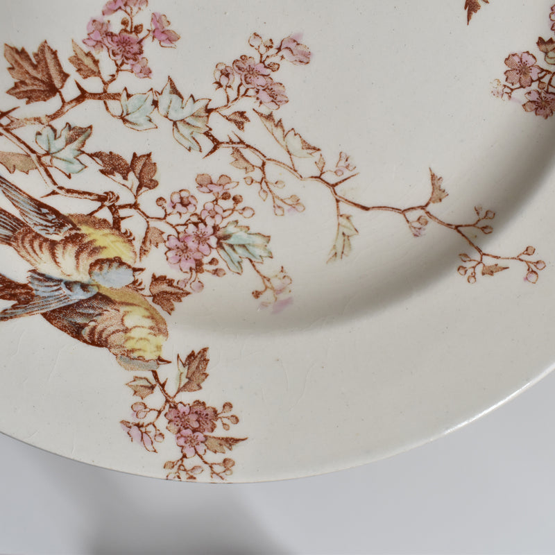 Antique Dessert Plate Lunéville Fauvette A