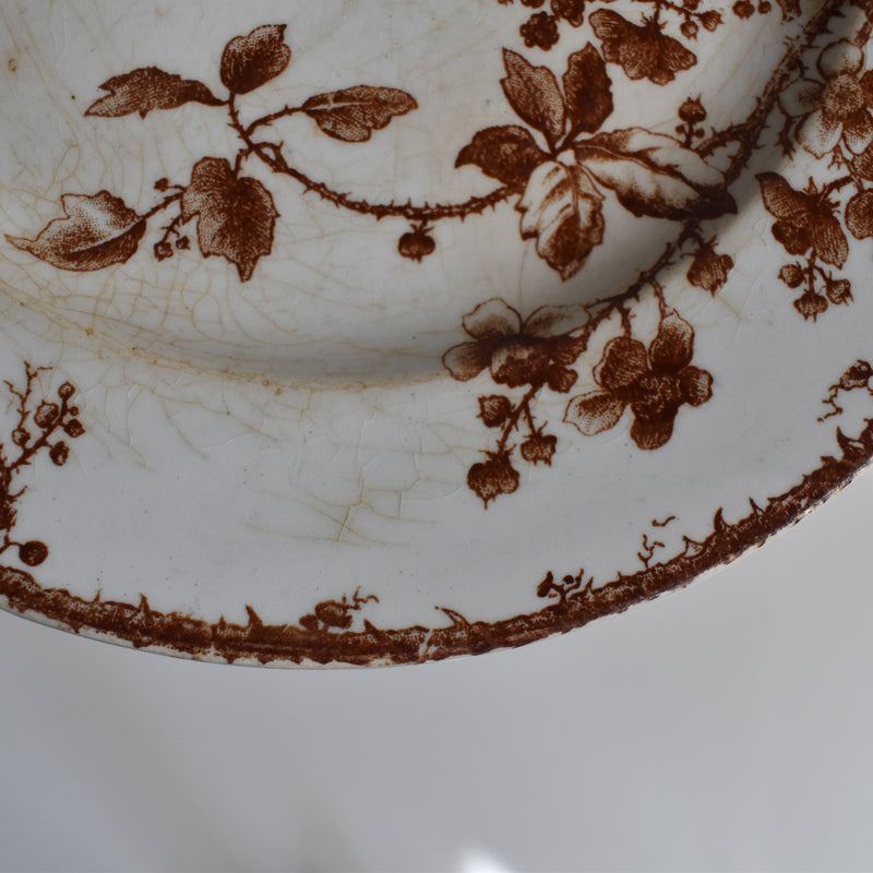 Antique Dessert Plate Gien Fauvette E