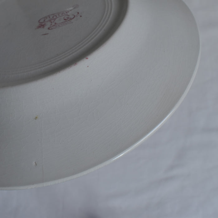 アンティークプレート K&Gリュネヴィル Platane Z6