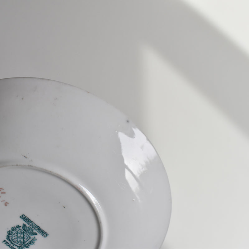 Antique teacup and saucer, Sarreguemines Minton 216 A