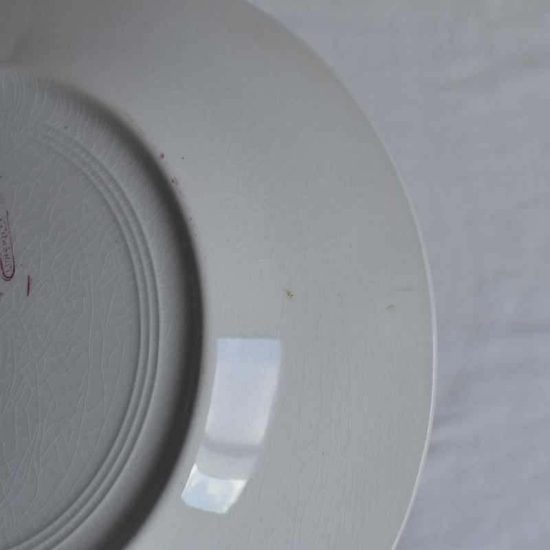 Antique Plate K&G Lunéville Platane Z6