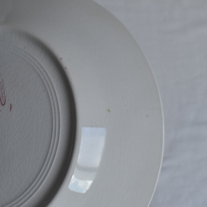 アンティークプレート K&Gリュネヴィル Platane Z6