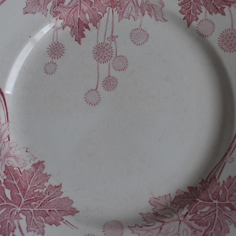 Antique Plate K&G Lunéville Platane Z6