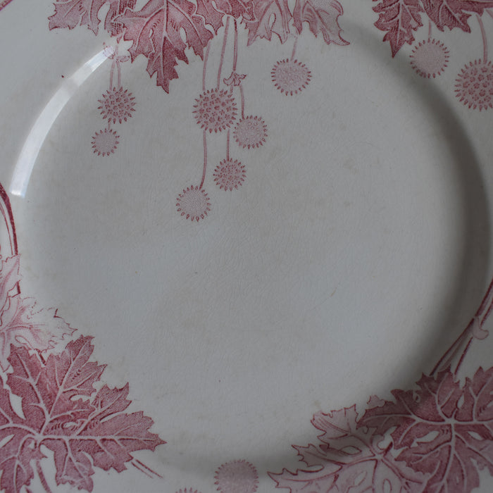 アンティークプレート K&Gリュネヴィル Platane Z6