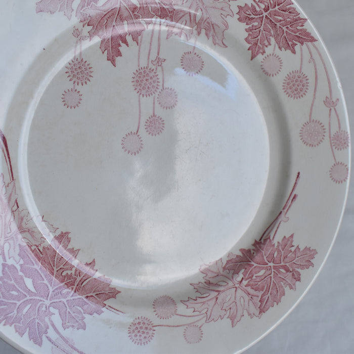 アンティークプレート K&Gリュネヴィル Platane Z6