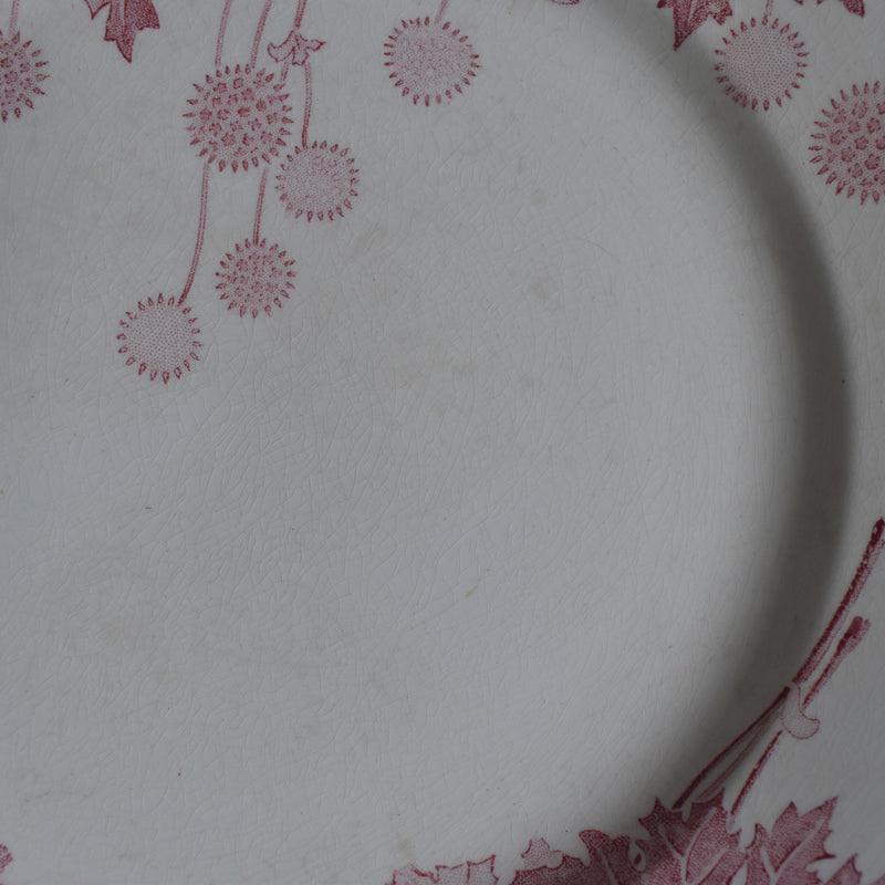 Antique Plate K&G Lunéville Platane Z6