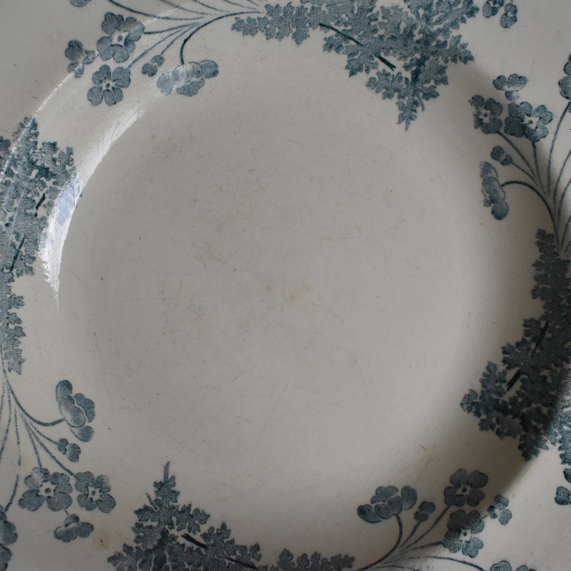 Antique Deep Plate Ronhuy Chartres