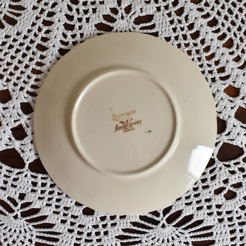 Vintage Cup & Saucer Digoin & Sarreguemines Agreste A