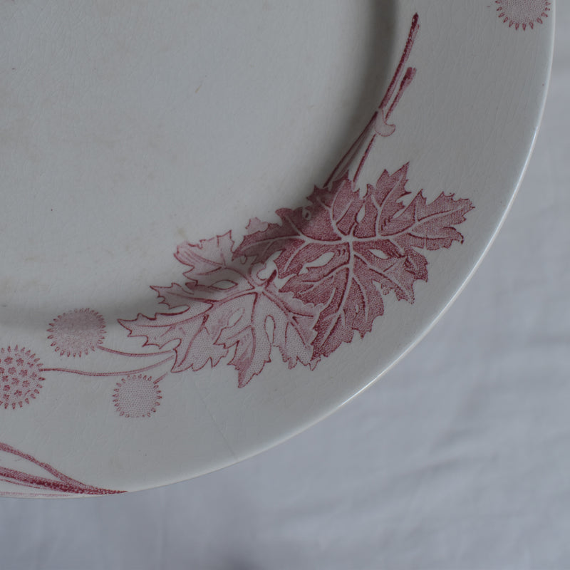 Antique Plate K&G Lunéville Platane Z6