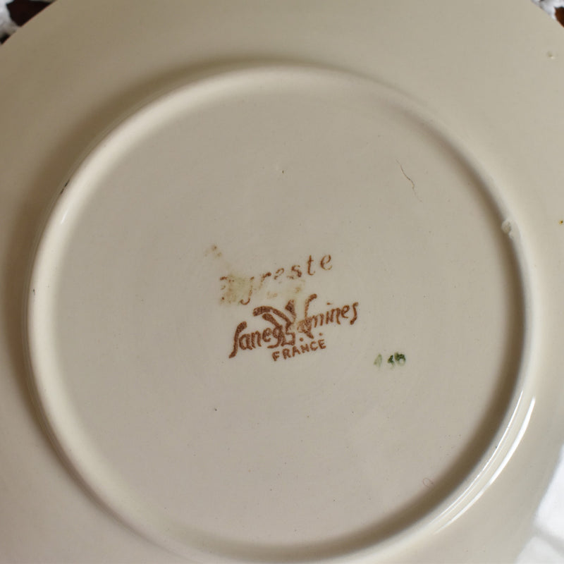 Vintage Cup & Saucer Digoin & Sarreguemines Agreste A