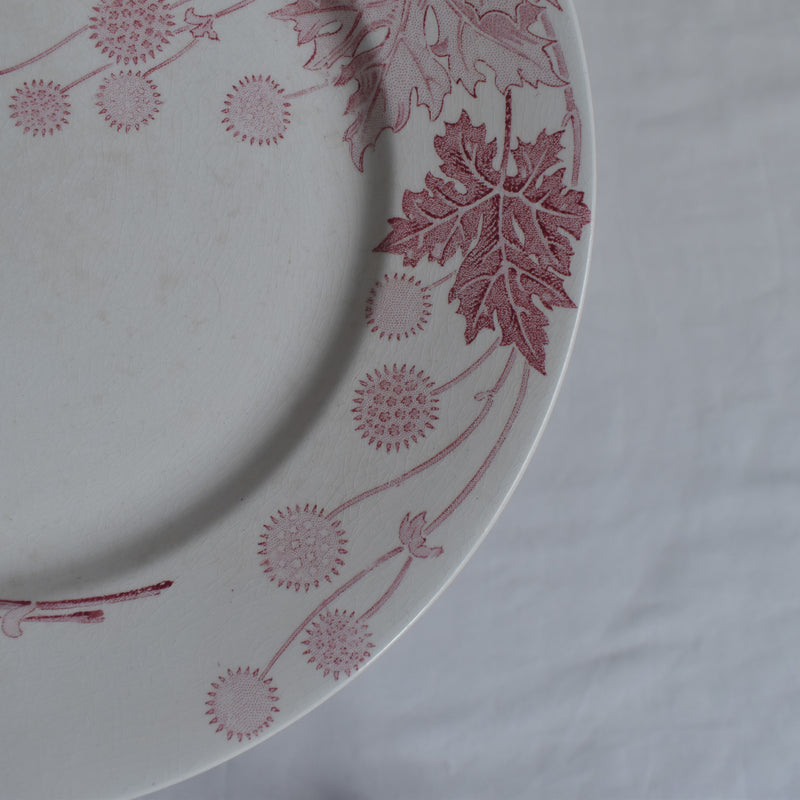 Antique Plate K&G Lunéville Platane Z6