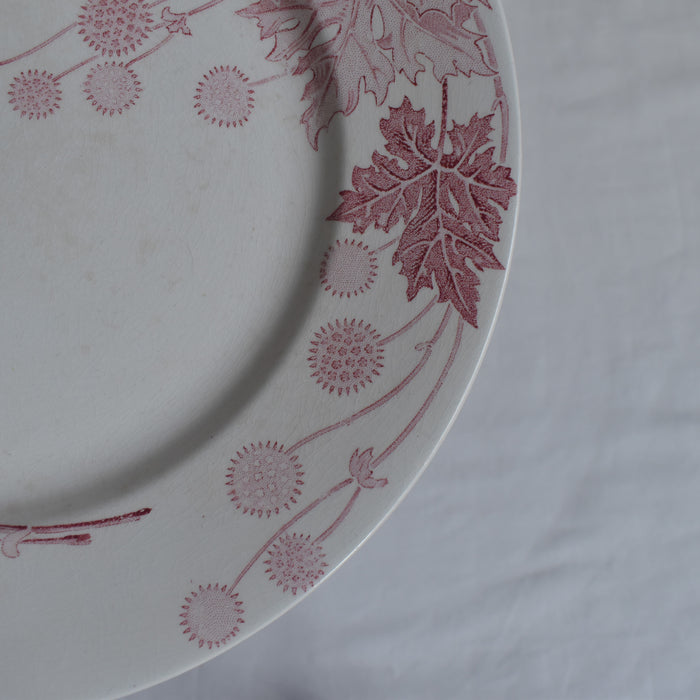 アンティークプレート K&Gリュネヴィル Platane Z6