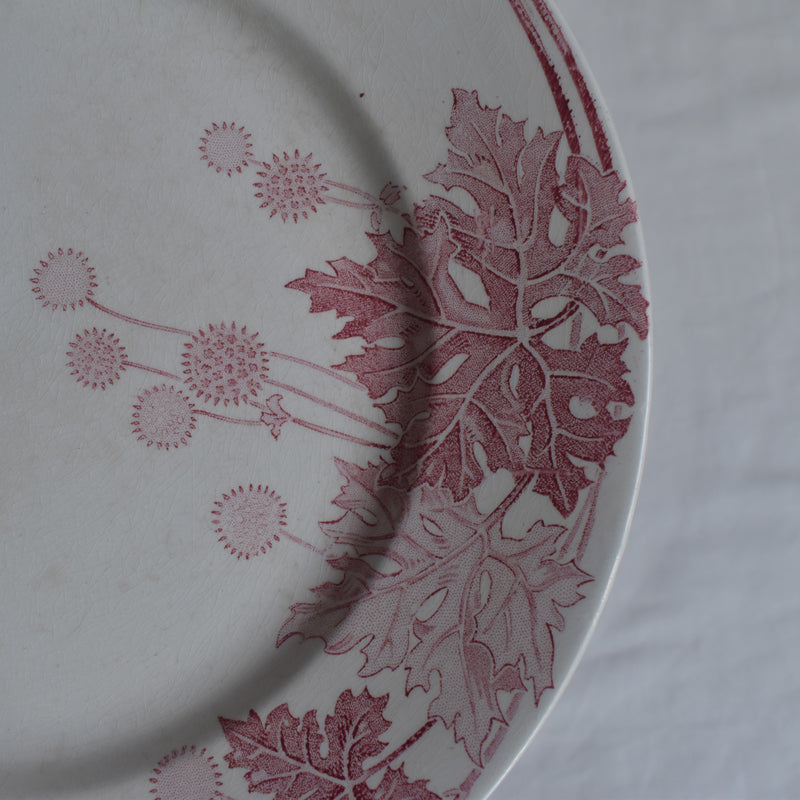 Antique Plate K&G Lunéville Platane Z6