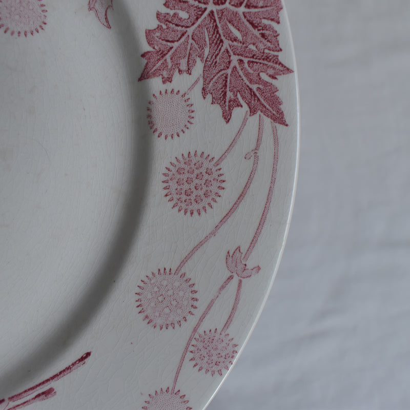 Antique Plate K&G Lunéville Platane Z6