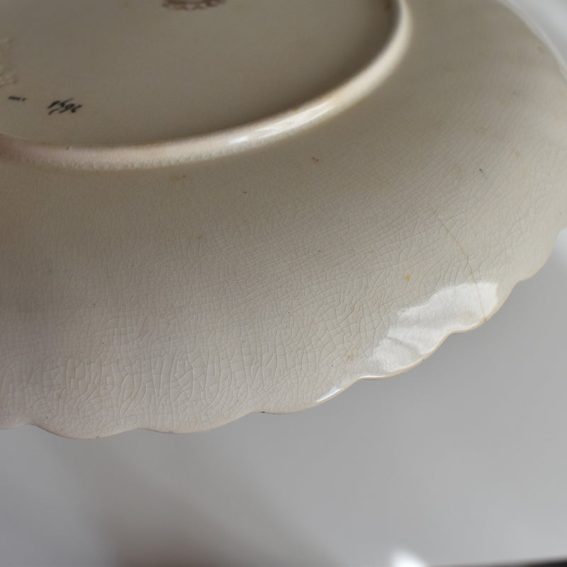 Antique Plate: W.A.A. & Cie Chrysanthemum