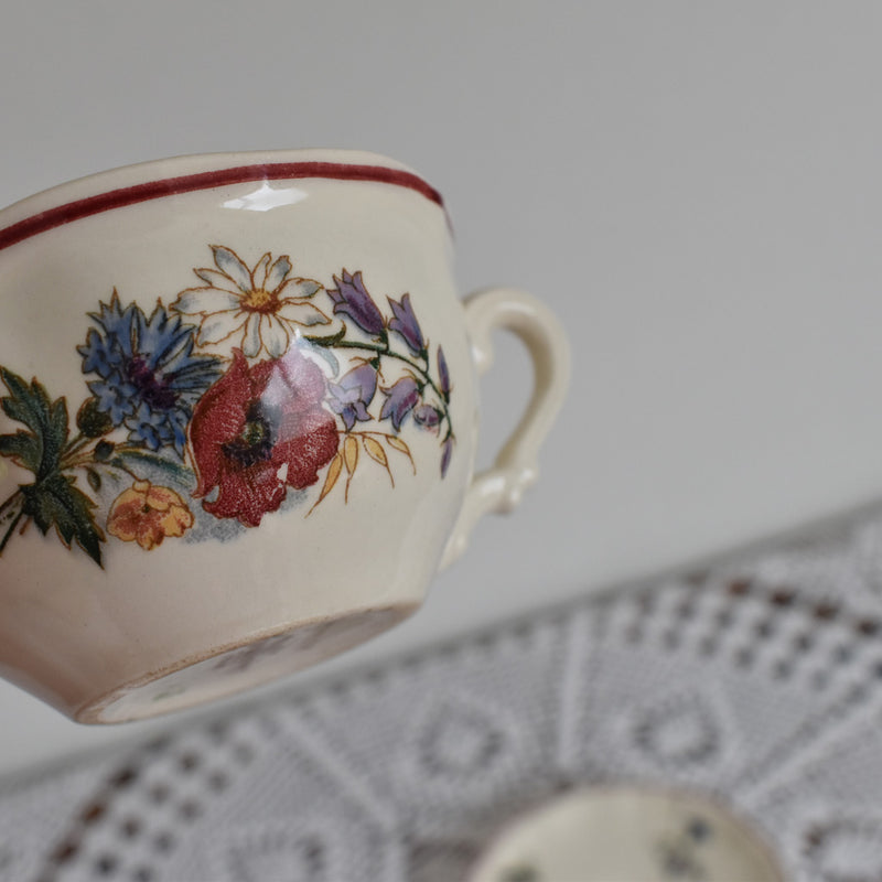 Vintage Cup & Saucer Digoin & Sarreguemines Agreste A