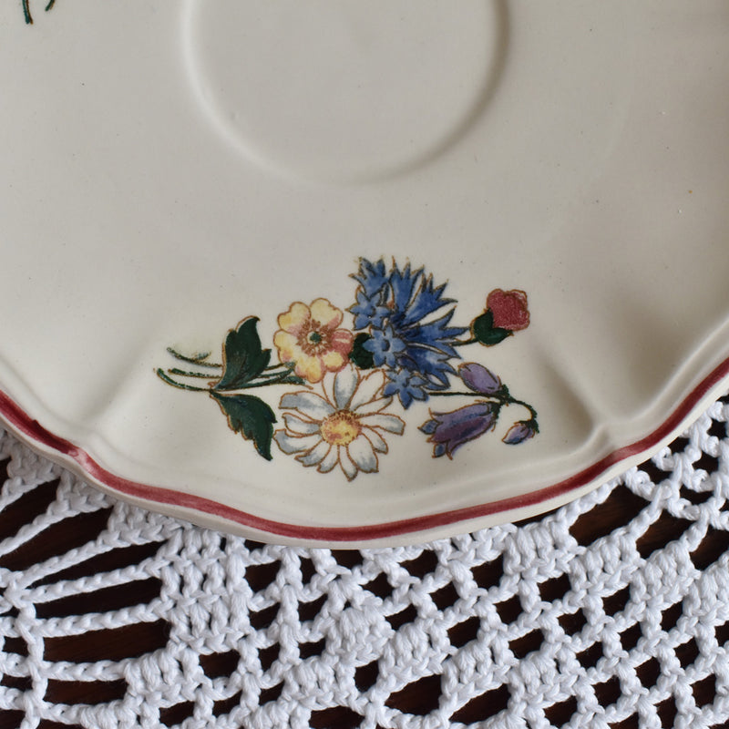 Vintage Cup & Saucer Digoin & Sarreguemines Agreste A