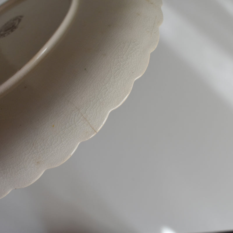 Antique Plate: W.A.A. & Cie Chrysanthemum