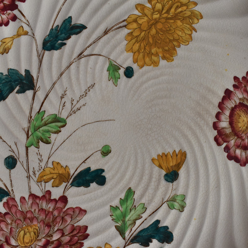 Antique Plate: W.A.A. & Cie Chrysanthemum