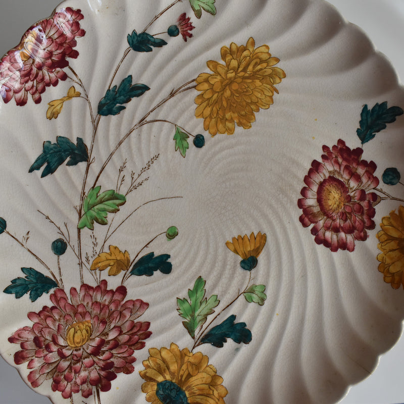 Antique Plate: W.A.A. & Cie Chrysanthemum