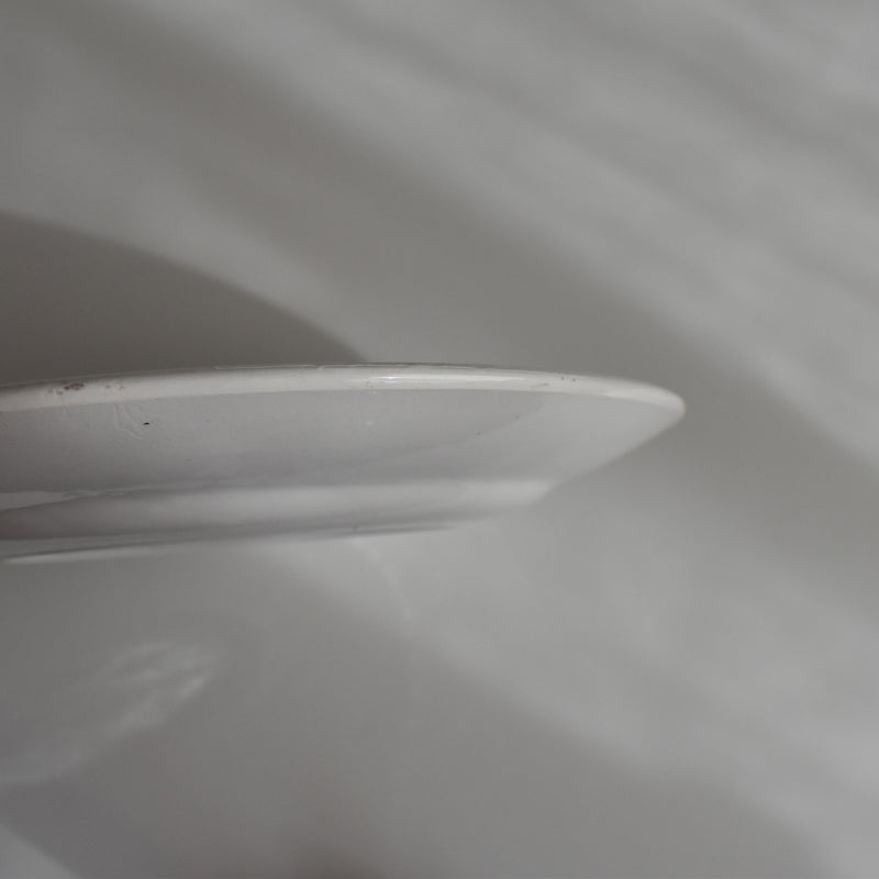 Vintage Dessert Plate, Digoin Sarreguemines, White E