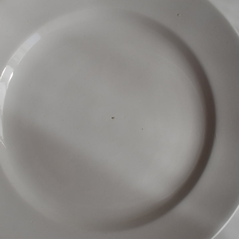 Vintage Dessert Plate, Digoin Sarreguemines, White E