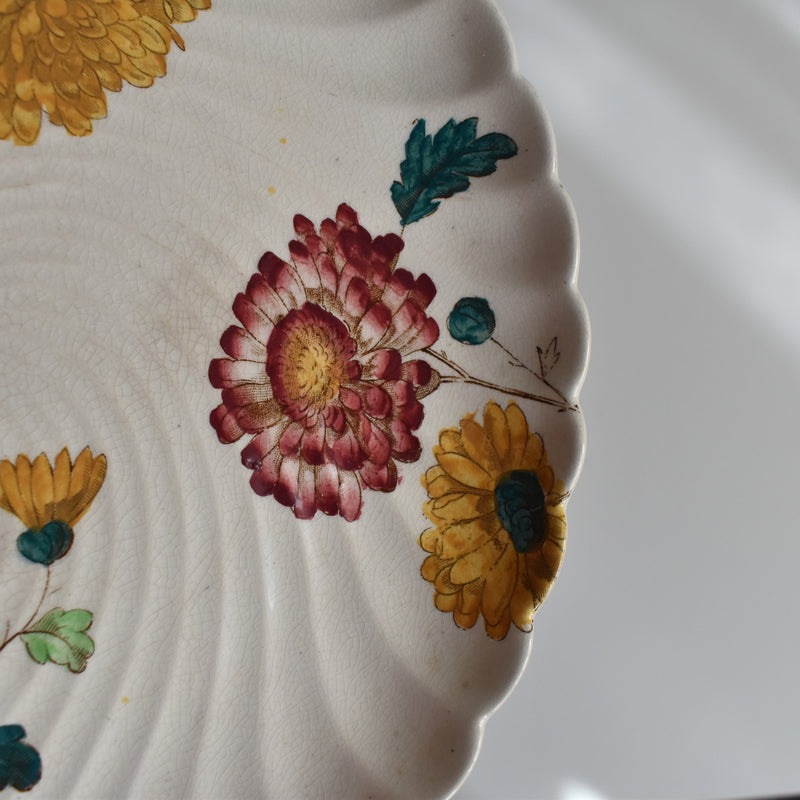 Antique Plate: W.A.A. & Cie Chrysanthemum
