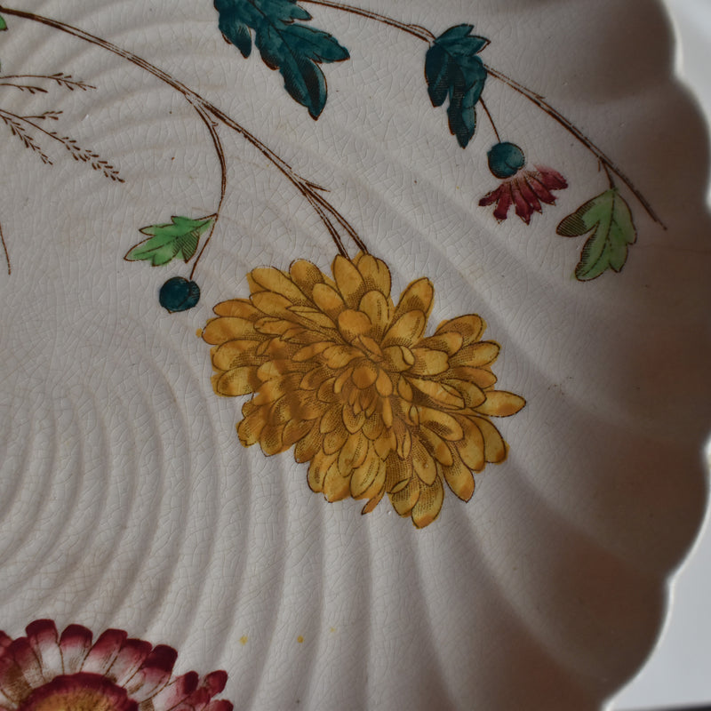 Antique Plate: W.A.A. & Cie Chrysanthemum