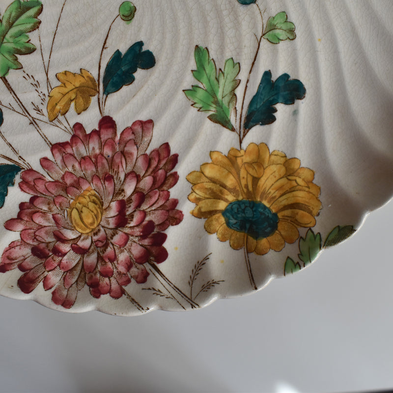 Antique Plate: W.A.A. & Cie Chrysanthemum