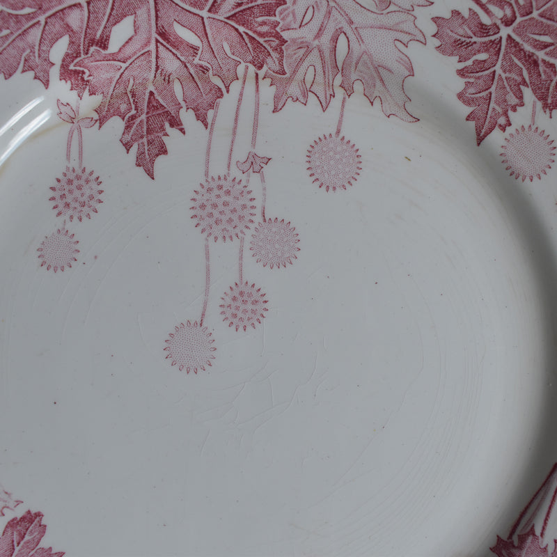 Antique Plate K&G Lunéville Platane Z7