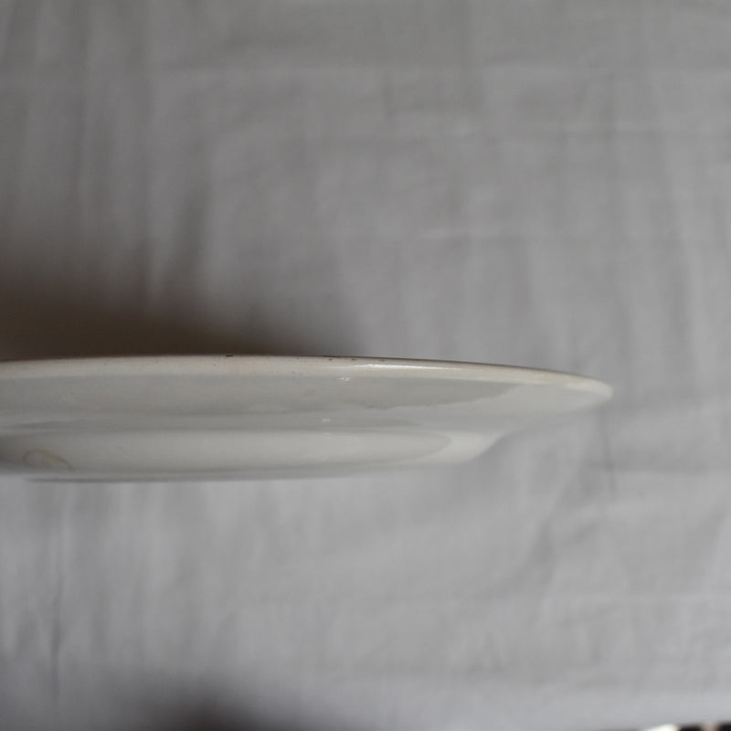 Vintage Plate Digoin & Sarreguemines Bouquet Fleuri C