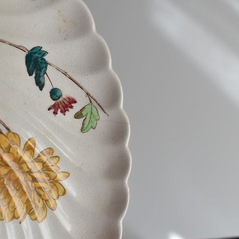 Antique Plate: W.A.A. & Cie Chrysanthemum